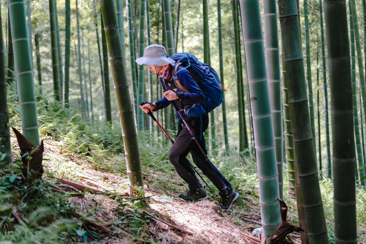 成人礼山谷列队