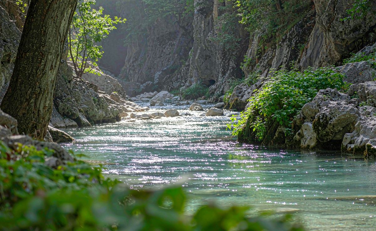 湖泊溪流