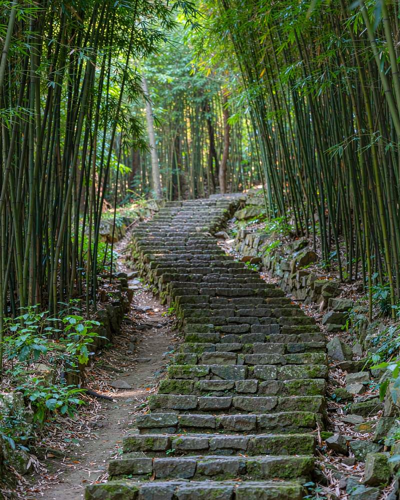 豆腐皮古道 · 竹林石阶