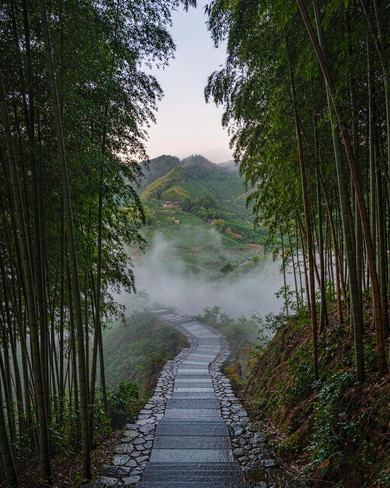 古道远眺